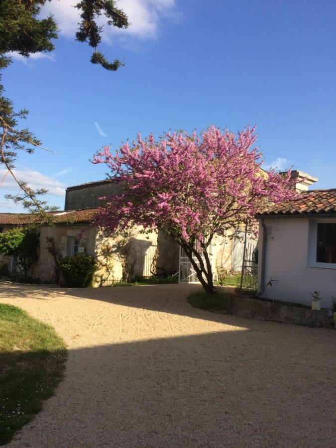 Bed and Breakfast Le Logis Du Plessis Chaniers Zewnętrze zdjęcie
