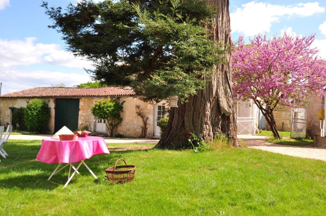 Bed and Breakfast Le Logis Du Plessis Chaniers Zewnętrze zdjęcie